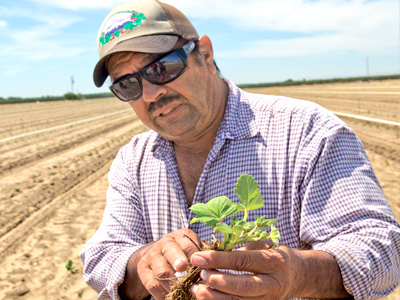 “Nosotros reconocemos las fresas como una fruta que provee la oportunidad de mejorar nuestras vidas”, mencionó Victor Ramirez, agricultor de fresas de tercera generación y presidente de la Comisión de Fresas de California. 